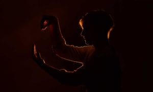 Silhouette by Fujiko